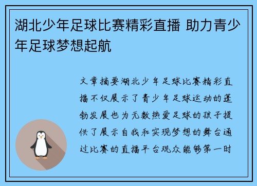 湖北少年足球比赛精彩直播 助力青少年足球梦想起航